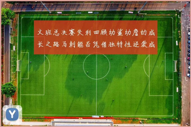 文班总决赛失利回顾幼鲨幼詹的成长之路马刺能否凭借独特性逆袭成功