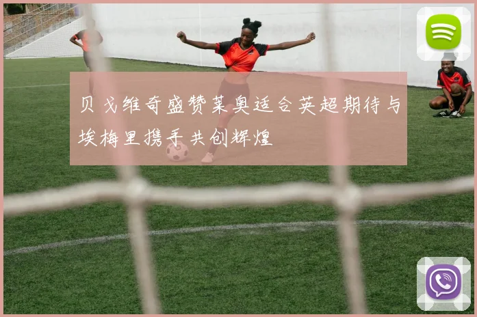 贝戈维奇盛赞莱奥适合英超期待与埃梅里携手共创辉煌